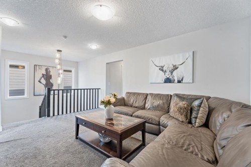 39 Cranbrook Green Se, Calgary, AB - Indoor Photo Showing Living Room