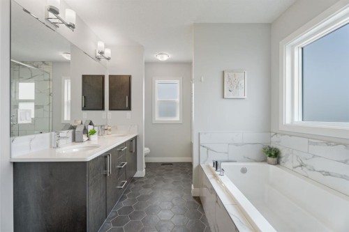 39 Cranbrook Green Se, Calgary, AB - Indoor Photo Showing Bathroom