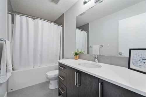39 Cranbrook Green Se, Calgary, AB - Indoor Photo Showing Bathroom