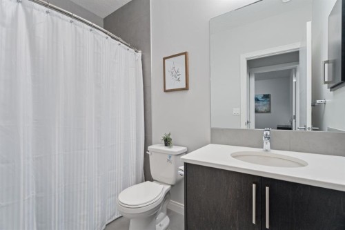 39 Cranbrook Green Se, Calgary, AB - Indoor Photo Showing Bathroom