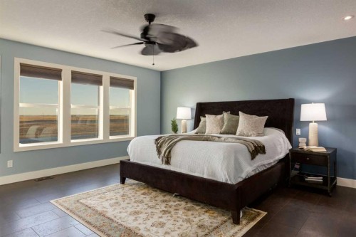 308 Rainbow Falls Way, Chestermere, AB - Indoor Photo Showing Bedroom