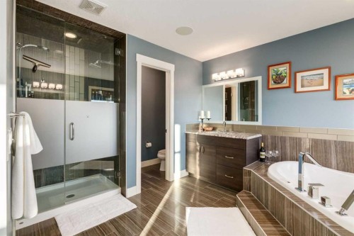 308 Rainbow Falls Way, Chestermere, AB - Indoor Photo Showing Bathroom