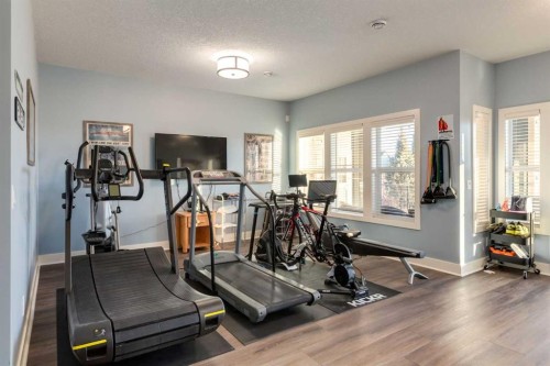 308 Rainbow Falls Way, Chestermere, AB - Indoor Photo Showing Gym Room