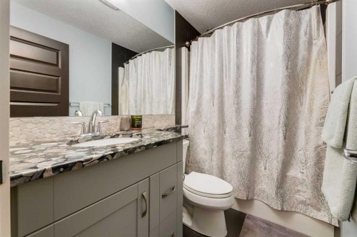 308 Rainbow Falls Way, Chestermere, AB - Indoor Photo Showing Bathroom