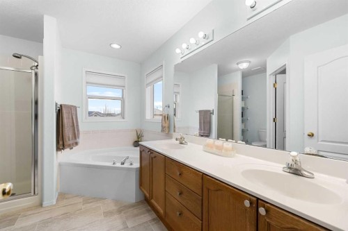 62 Canoe Circle Sw, Airdrie, AB - Indoor Photo Showing Bathroom