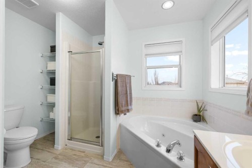 62 Canoe Circle Sw, Airdrie, AB - Indoor Photo Showing Bathroom