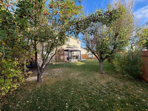 62 Canoe Circle Sw, Airdrie, AB - Outdoor