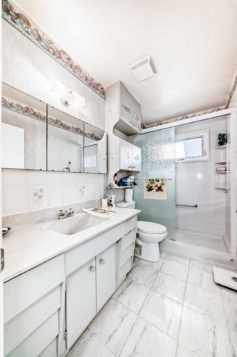 2119 Mackid Crescent Ne, Calgary, AB - Indoor Photo Showing Bathroom