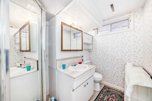 2119 Mackid Crescent Ne, Calgary, AB - Indoor Photo Showing Bathroom