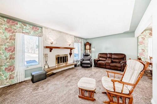 2119 Mackid Crescent Ne, Calgary, AB - Indoor Photo Showing Living Room With Fireplace