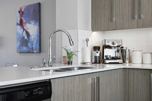 1249 Carrington Boulevard Nw, Calgary, AB - Indoor Photo Showing Kitchen With Double Sink