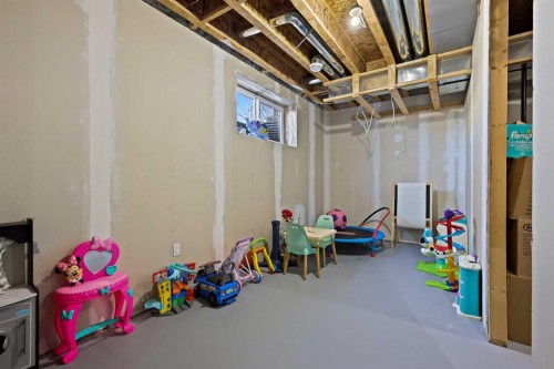 1249 Carrington Boulevard Nw, Calgary, AB - Indoor Photo Showing Basement