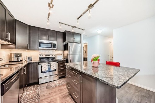 172 Auburn Meadows Walk Se, Calgary, AB - Indoor Photo Showing Kitchen With Upgraded Kitchen