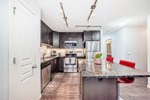 172 Auburn Meadows Walk Se, Calgary, AB - Indoor Photo Showing Kitchen With Upgraded Kitchen