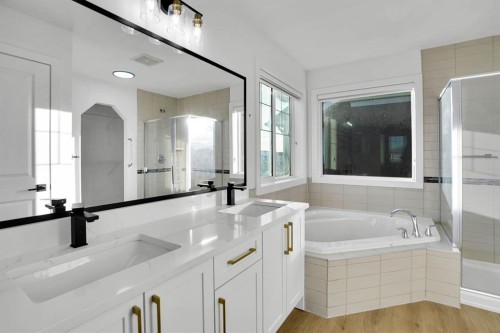 4 Skyview Springs Crescent Ne, Calgary, AB - Indoor Photo Showing Bathroom