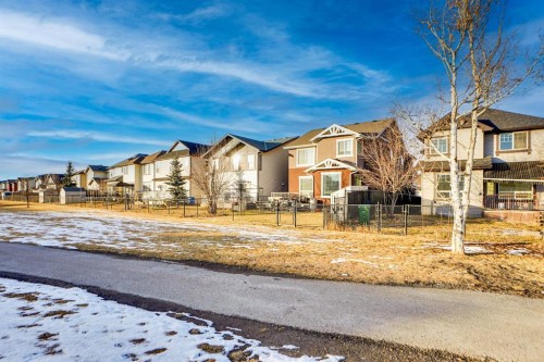 4 Skyview Springs Crescent Ne, Calgary, AB - Outdoor