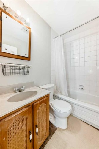 2223 36 Street Se, Calgary, AB - Indoor Photo Showing Bathroom