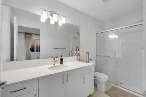 28 Redstone Boulevard Ne, Calgary, AB - Indoor Photo Showing Bathroom