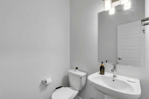 28 Redstone Boulevard Ne, Calgary, AB - Indoor Photo Showing Bathroom