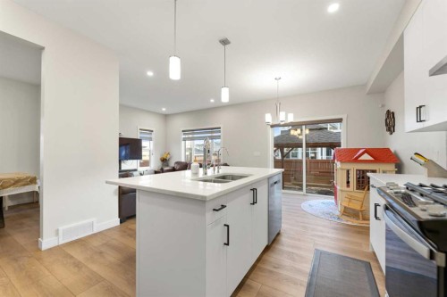 7 Homestead Circle Ne, Calgary, AB - Indoor Photo Showing Kitchen With Double Sink With Upgraded Kitchen