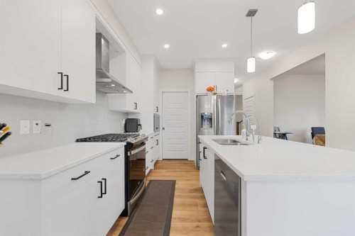 7 Homestead Circle Ne, Calgary, AB - Indoor Photo Showing Kitchen With Double Sink With Upgraded Kitchen