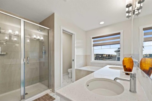 7 Homestead Circle Ne, Calgary, AB - Indoor Photo Showing Bathroom
