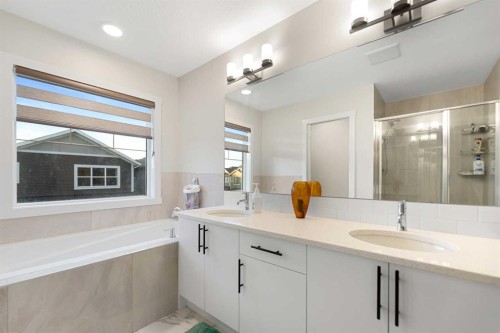 7 Homestead Circle Ne, Calgary, AB - Indoor Photo Showing Bathroom