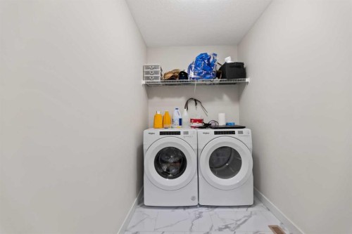 7 Homestead Circle Ne, Calgary, AB - Indoor Photo Showing Laundry Room