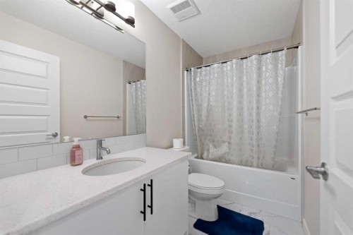 7 Homestead Circle Ne, Calgary, AB - Indoor Photo Showing Bathroom