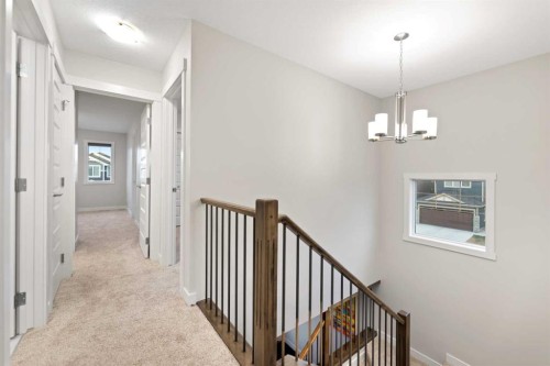 7 Homestead Circle Ne, Calgary, AB - Indoor Photo Showing Other Room