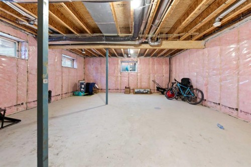 7 Homestead Circle Ne, Calgary, AB - Indoor Photo Showing Basement