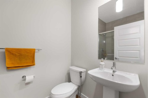 7 Homestead Circle Ne, Calgary, AB - Indoor Photo Showing Bathroom