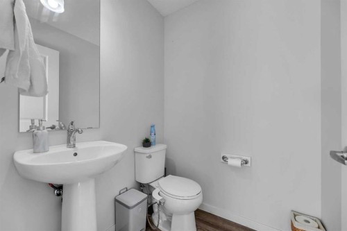 258 Cornerstone Avenue Ne, Calgary, AB - Indoor Photo Showing Bathroom