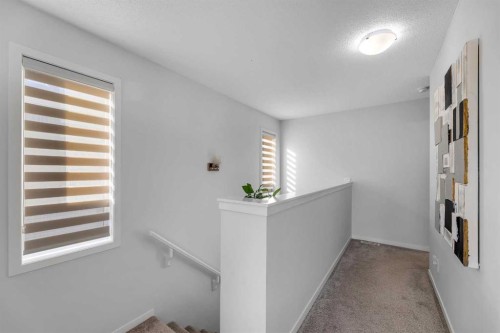 258 Cornerstone Avenue Ne, Calgary, AB - Indoor Photo Showing Other Room