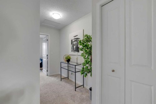 258 Cornerstone Avenue Ne, Calgary, AB - Indoor Photo Showing Other Room