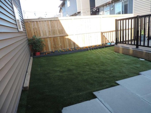 258 Cornerstone Avenue Ne, Calgary, AB - Outdoor