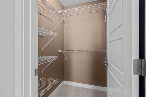 346 Covecreek Circle Ne, Calgary, AB - Indoor With Storage