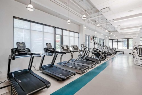 309-2231 Mahogany Boulevard Se, Calgary, AB - Indoor Photo Showing Gym Room