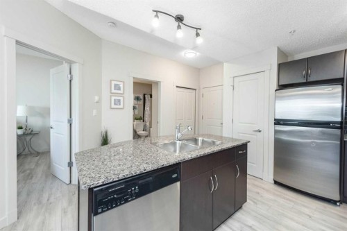 2305-5605 Henwood Street Sw, Calgary, AB - Indoor Photo Showing Kitchen With Double Sink