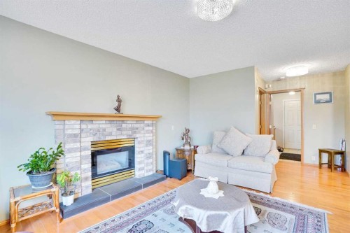 60 Douglas Woods Terrace Se, Calgary, AB - Indoor Photo Showing Living Room With Fireplace