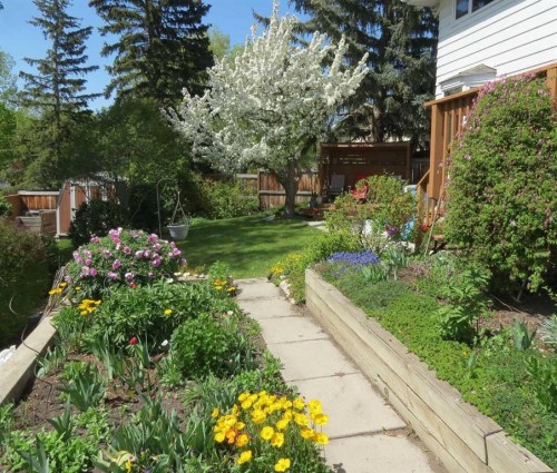 104 Dalgleish Bay Nw, Calgary, AB - Outdoor