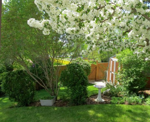 104 Dalgleish Bay Nw, Calgary, AB - Outdoor