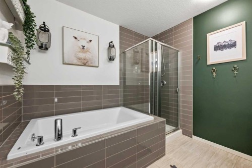 1307 Walden Drive Se, Calgary, AB - Indoor Photo Showing Bathroom