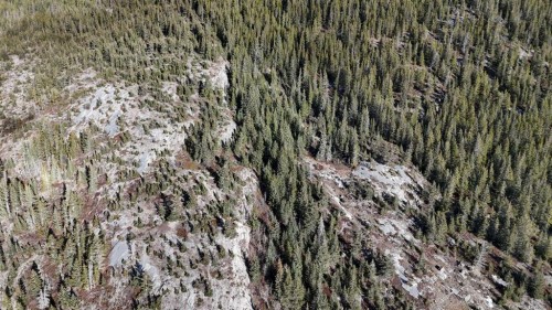 65 Acres Along Windridge Road, Rural Bighorn No. 8, M.D. Of, AB 