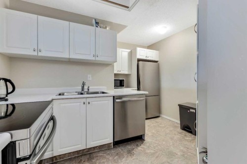34B-231 Heritage Drive Se, Calgary, AB - Indoor Photo Showing Kitchen With Double Sink