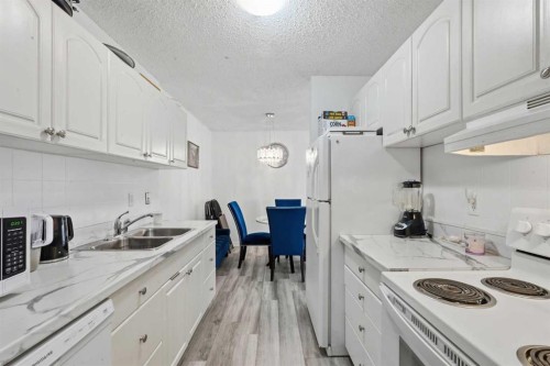 492-8948 Elbow Drive Sw, Calgary, AB - Indoor Photo Showing Kitchen With Double Sink