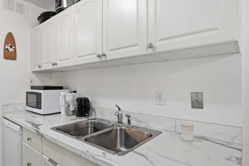 492-8948 Elbow Drive Sw, Calgary, AB - Indoor Photo Showing Kitchen With Double Sink