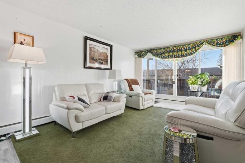 492-8948 Elbow Drive Sw, Calgary, AB - Indoor Photo Showing Living Room