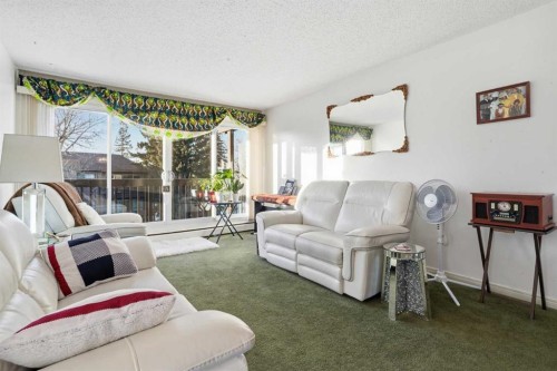 492-8948 Elbow Drive Sw, Calgary, AB - Indoor Photo Showing Living Room