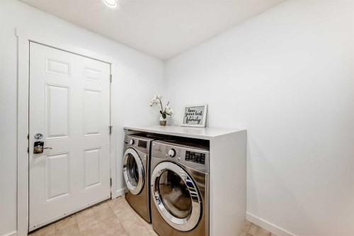 117 Chapalina Close Se, Calgary, AB - Indoor Photo Showing Laundry Room